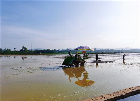 千畝“瘦地”變“肥田”丨石碑坪“旱改水”項(xiàng)目出成效，助力鄉(xiāng)村振興